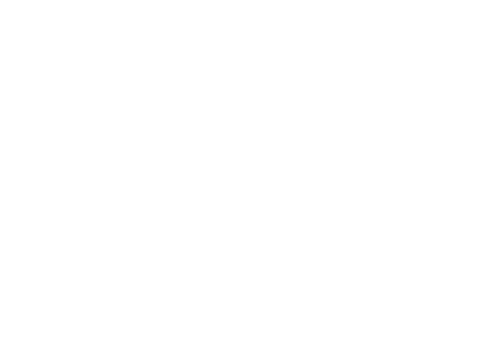 logo iren white